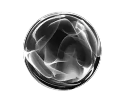 Studex